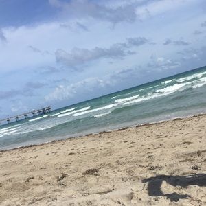 Meet your Posher, Sydney